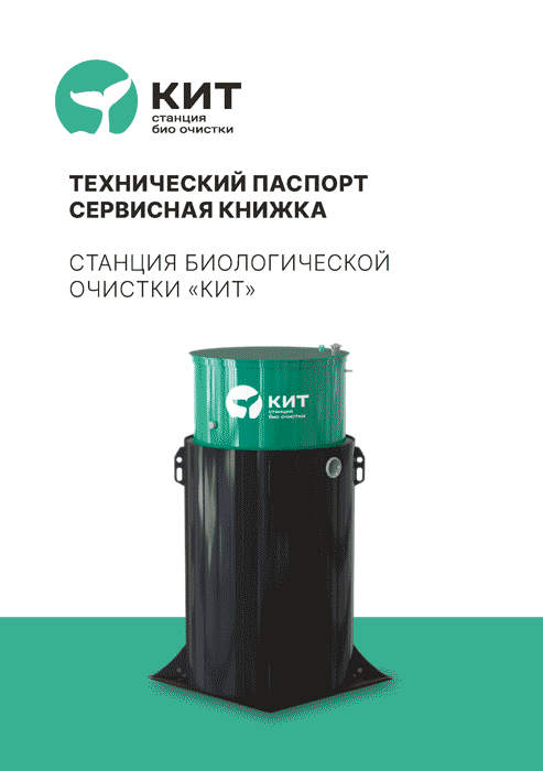 Портрет человека