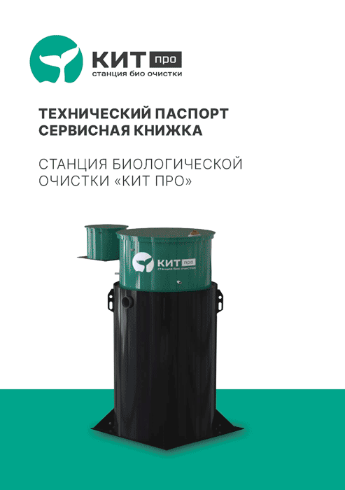 Портрет человека